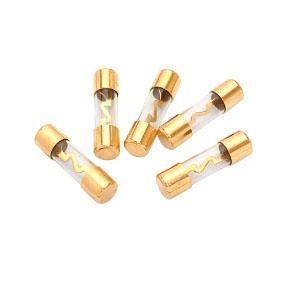 AGU100A Audiopipe Gold AGU Fuses 100A 5-Pack