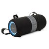 LX-60 Dolphin Waterproof Boombox with DSP