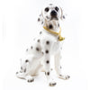 MD567-101 Dog Bluetooth Rechargeable Portable Speaker - Dalmation